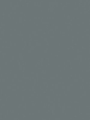 cover image of Directional Solidification of Steel Castings